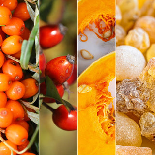 Top 10 Oils and Butters in Skincare