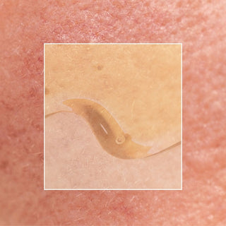 Waterless Skincare For Every Age